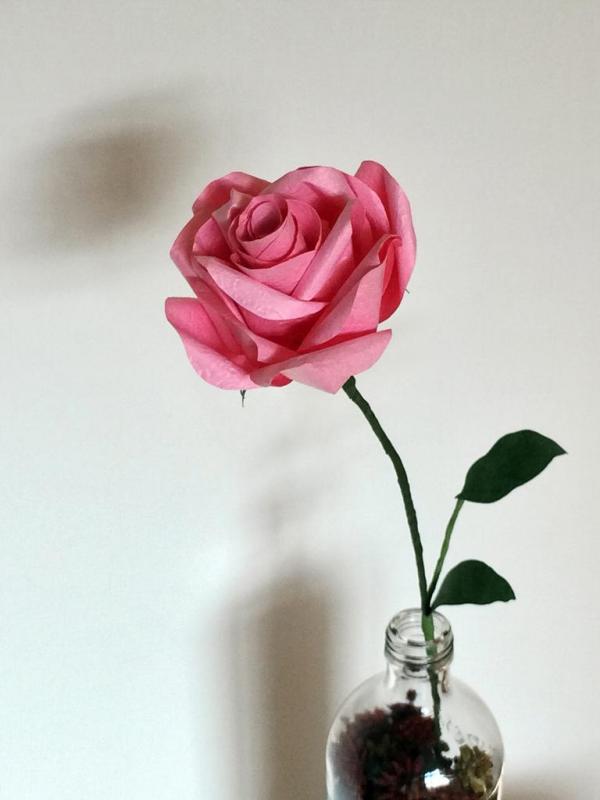 奧海城 x 《小王子》 法國五月展覽